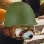 Onlyfans leaks a_lewdpanda 

 profile picture