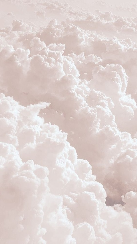 Header of agnnnes