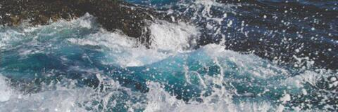 Header of alyssamoir