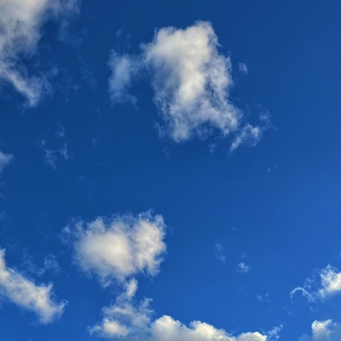 Header of amyelrad
