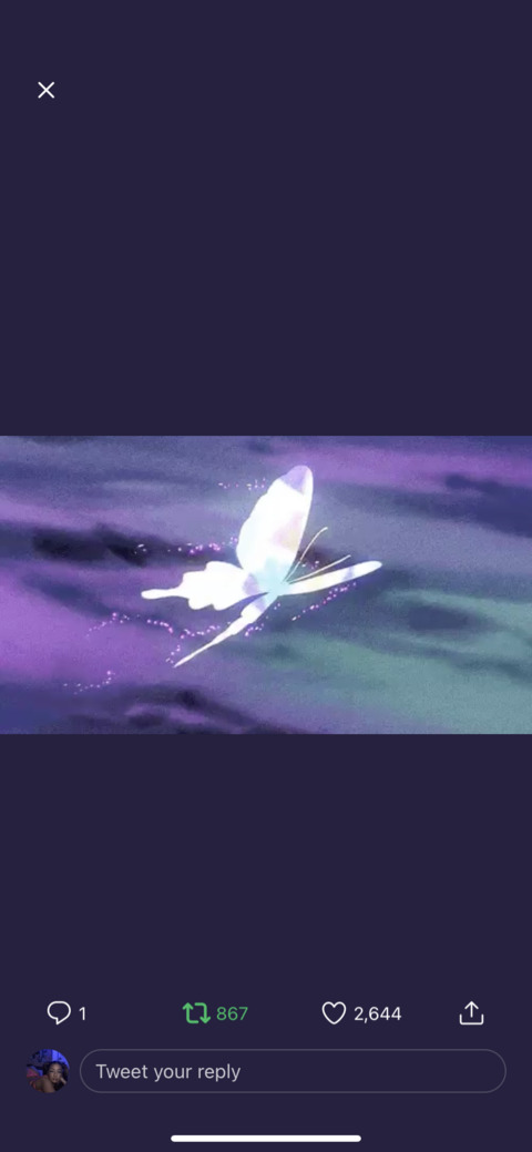 Header of angelbby555