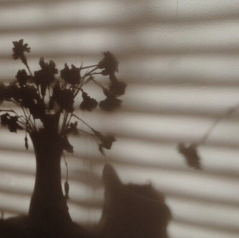 Onlyfans leaks anna-rae - LeakedOnlyF