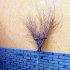 Free access to (@annavictoria7777) Leaked OnlyFans 

 profile picture