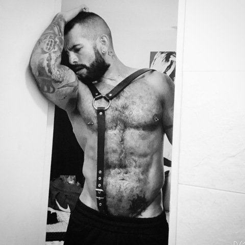 Header of antorchahumana9