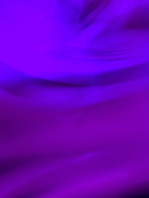 Header of asapxalex