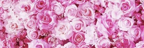 Header of babyashaxxx