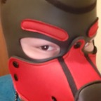 Free access to @bacchy_puppy Leaks OnlyFans 

 profile picture