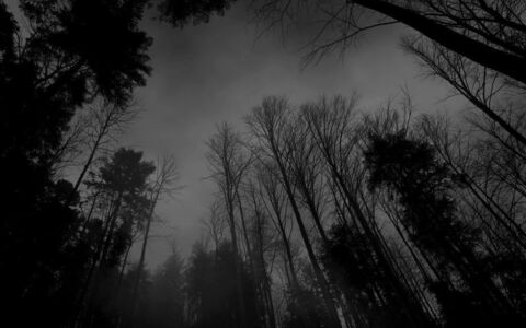 Header of barcode666