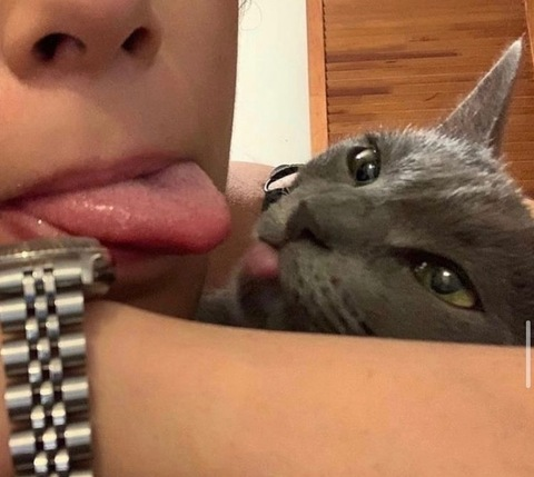 Header of bassoon_chw