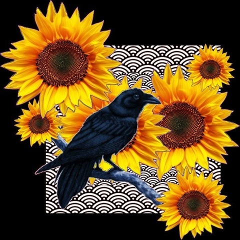 Header of beautyofacrow