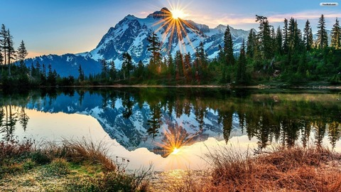 Header of beberae