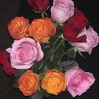 Bexxx (@bexxx16) Leaks OnlyFans 

 profile picture