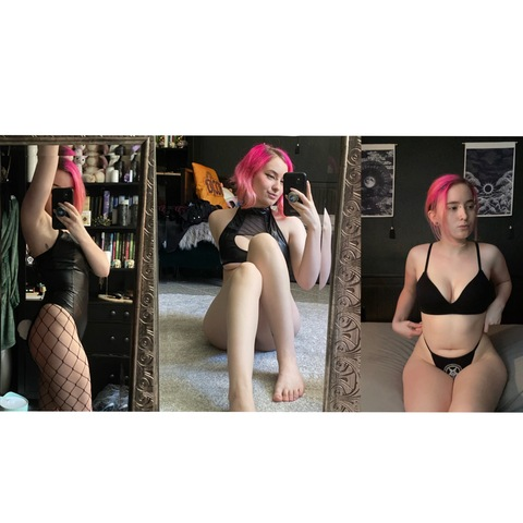 Header of blackbabybat