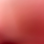 Onlyfans leak bob22232w 

 profile picture