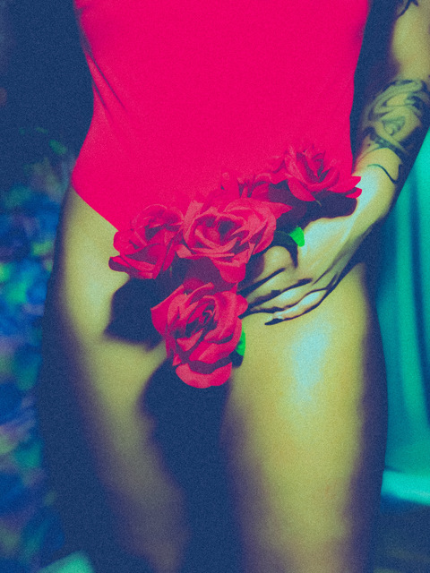 Header of bonitalafeminista