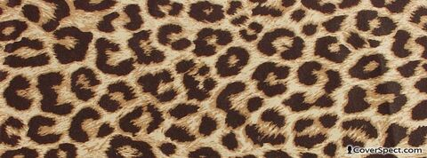 Header of brattybrandii