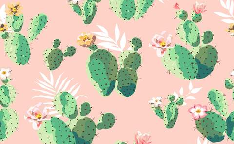 Header of bubblebombz