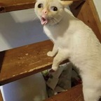 Download bubblemamas OnlyFans content for free 

 profile picture