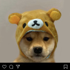bunniebby (mia) OnlyFans Leaked Content 

 profile picture