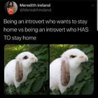 Download bunnybums OnlyFans content for free 

 profile picture