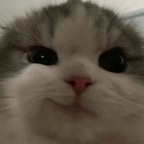 butterfry butterfry Leak OnlyFans 

 profile picture
