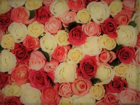 Header of butterpeacanxo
