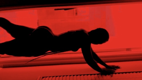 Header of butterrflyy
