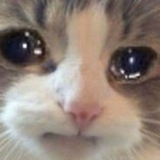 c4770 (Catto Mcgriddle) Only Fans Leaks [UPDATED] profile picture