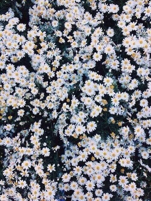 Header of caitlinrose888