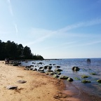 candice (Candice) free OnlyFans Leaked Pictures and Videos 

 profile picture