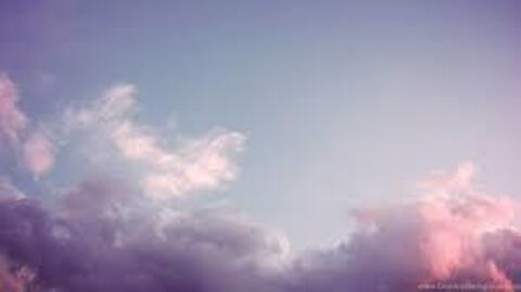 Header of cassibaby69