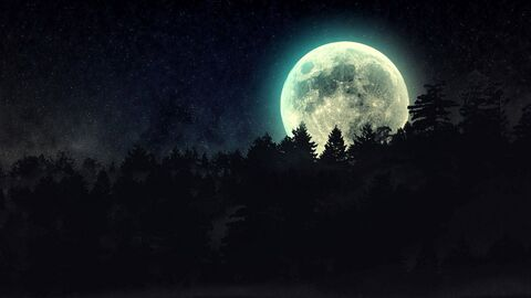 Header of cherryxxbombxx