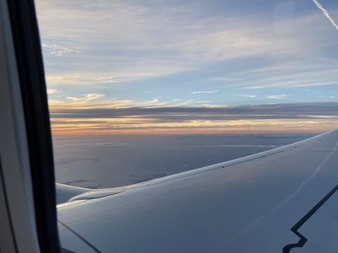 Header of chrystallabella