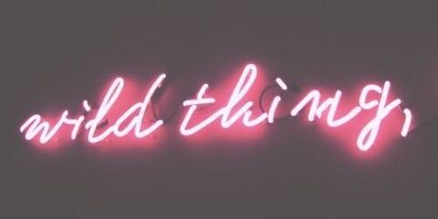 Header of cococrush