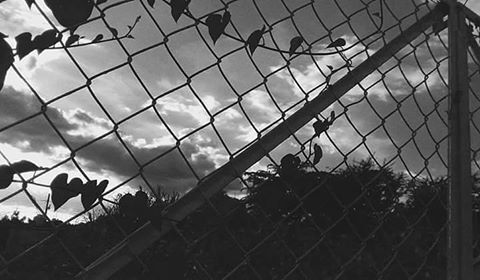 Header of conejitadelaluna