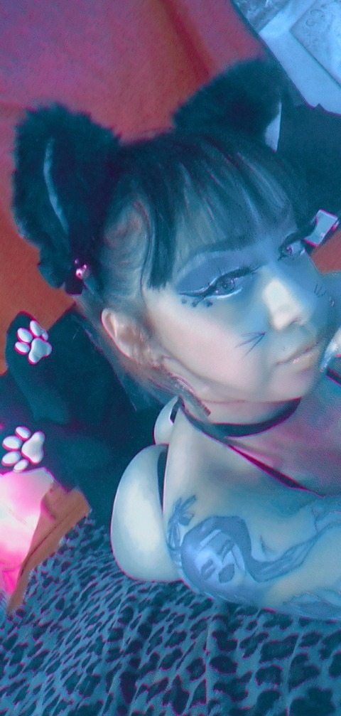 Header of cookie.nicole
