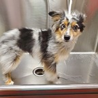 Onlyfans leaked copicpix 

 profile picture