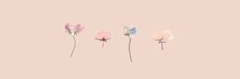 Header of cosmicsunbeam