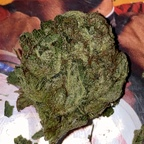 creampied OnlyFans Leaked 

 profile picture