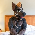 daddydober (Daddy Dober ฅ^•ﻌ•^ฅ) free OnlyFans Leaked Videos and Pictures [!NEW!] profile picture