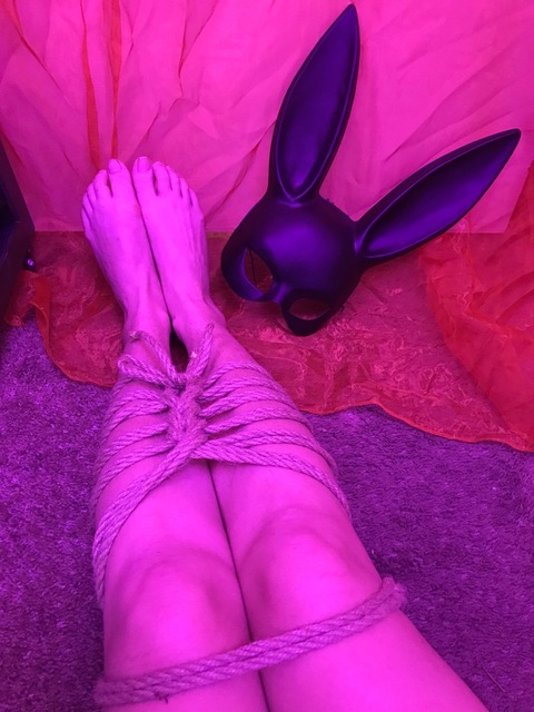 Header of daddyxbunni