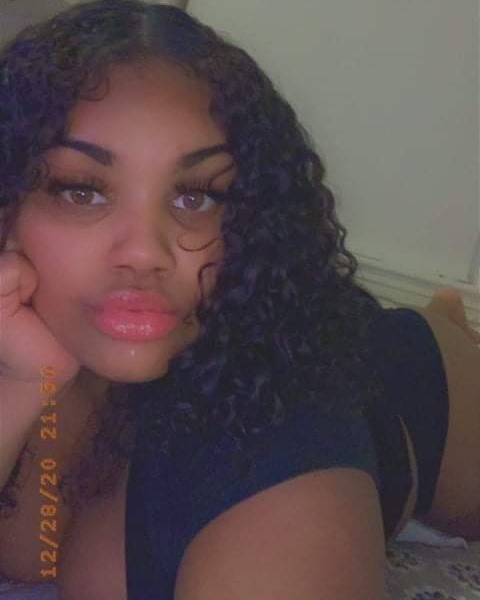 Header of dariibaee