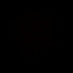 demi_rose OnlyFans Leaked 

 profile picture