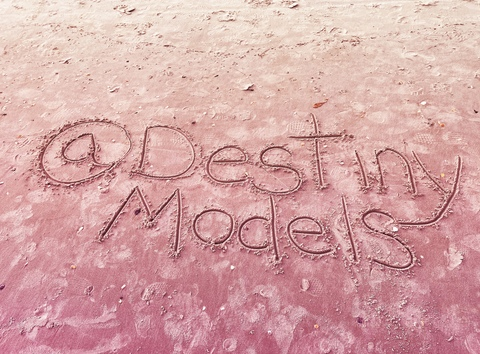 Header of destinymodels