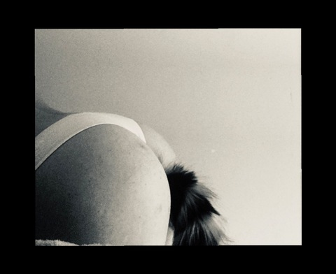 Header of dianapxxx