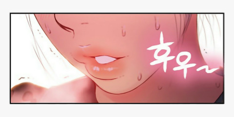 Header of dollejandra