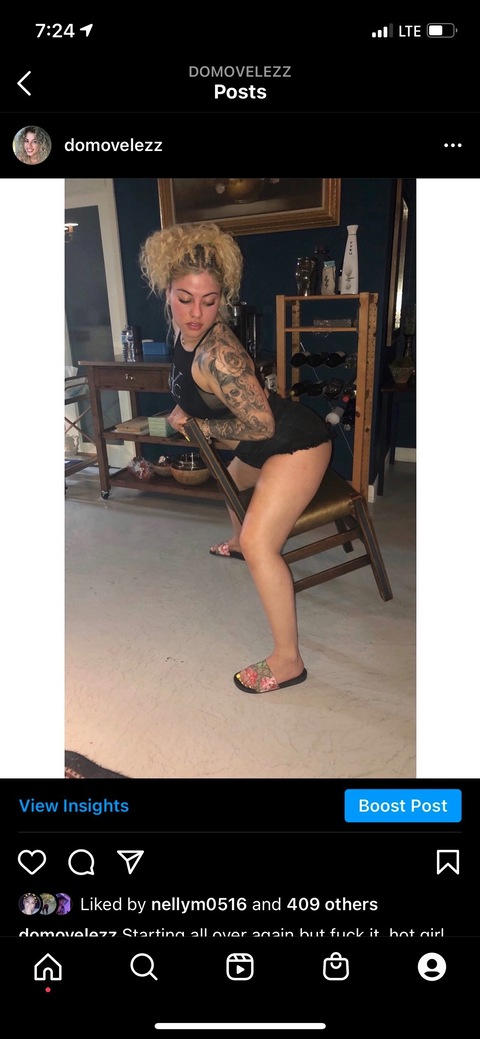Header of domovelez