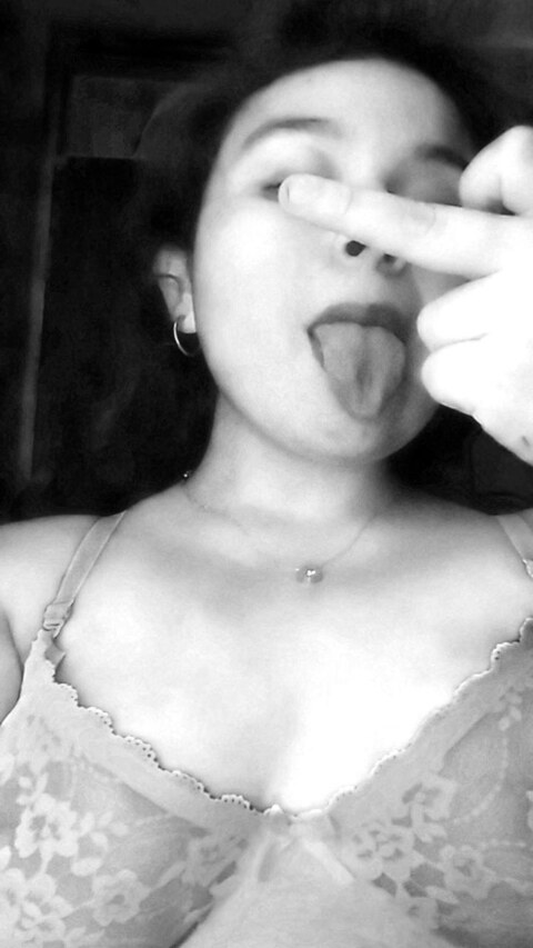 Header of dulcevega