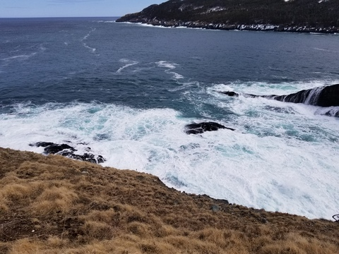 Header of eastcoastwitch