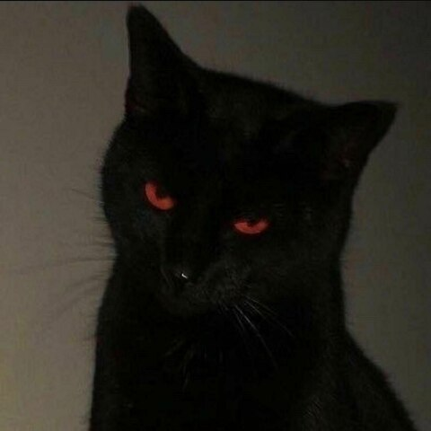 Header of elhopelessgato